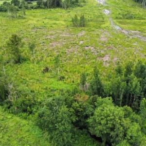Photo #24 of SOLD property in Off Hwy 348 & Beargrass Road, Loris, SC 151.2 acres
