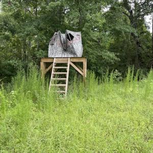 Photo #29 of SOLD property in Off Hwy 348 & Beargrass Road, Loris, SC 151.2 acres