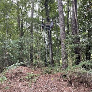 Photo #36 of SOLD property in Off Hwy 348 & Beargrass Road, Loris, SC 151.2 acres