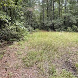 Photo #38 of SOLD property in Off Hwy 348 & Beargrass Road, Loris, SC 151.2 acres