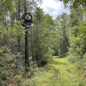 Photo #39 of SOLD property in Off Hwy 348 & Beargrass Road, Loris, SC 151.2 acres