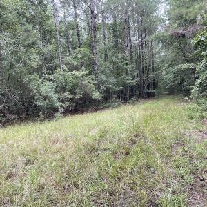 Photo #40 of SOLD property in Off Hwy 348 & Beargrass Road, Loris, SC 151.2 acres