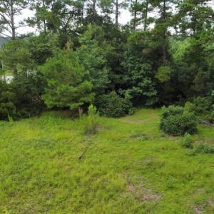 Photo #45 of SOLD property in Off Hwy 348 & Beargrass Road, Loris, SC 151.2 acres