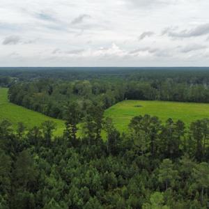 Photo #46 of SOLD property in Off Hwy 348 & Beargrass Road, Loris, SC 151.2 acres