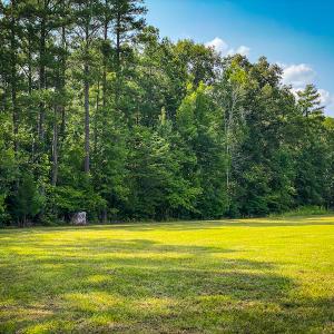 Photo #8 of SOLD property in Off Hwy 119 N & Stephentown Road, Blanch, NC 46.5 acres