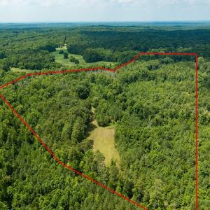 Photo #14 of SOLD property in Off Hwy 119 N & Stephentown Road, Blanch, NC 46.5 acres