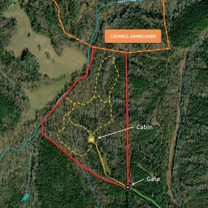 Photo #59 of SOLD property in Off Hwy 119 N & Stephentown Road, Blanch, NC 46.5 acres