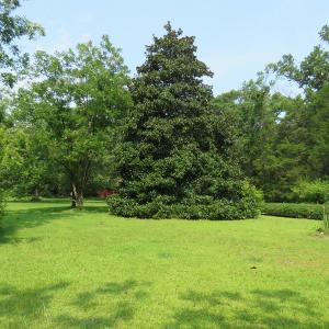 Photo #3 of SOLD property in 117 Danford Road, Bolivia, NC 5.3 acres