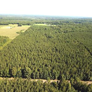 Photo #1 of SOLD property in Off Colonial Trail W, Spring Grove, VA 47.6 acres