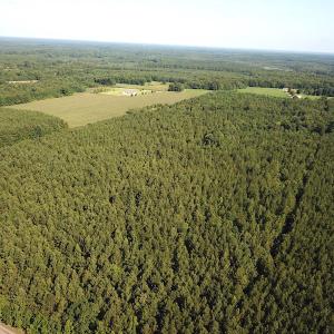 Photo #3 of SOLD property in Off Colonial Trail W, Spring Grove, VA 47.6 acres