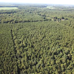 Photo #4 of SOLD property in Off Colonial Trail W, Spring Grove, VA 47.6 acres