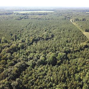 Photo #5 of SOLD property in Off Colonial Trail W, Spring Grove, VA 47.6 acres
