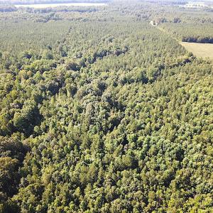 Photo #9 of SOLD property in Off Colonial Trail W, Spring Grove, VA 47.6 acres