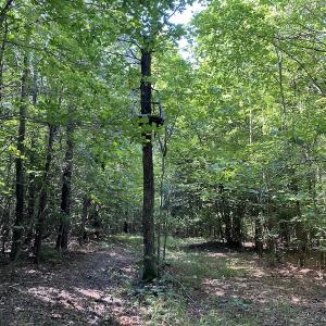 Photo #11 of SOLD property in Off Colonial Trail W, Spring Grove, VA 47.6 acres