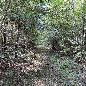 Photo #12 of SOLD property in Off Colonial Trail W, Spring Grove, VA 47.6 acres