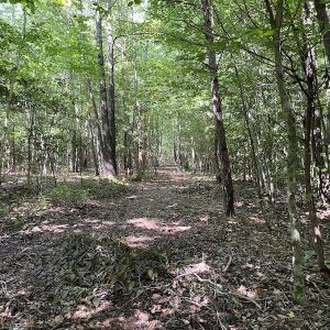 Photo #13 of SOLD property in Off Colonial Trail W, Spring Grove, VA 47.6 acres