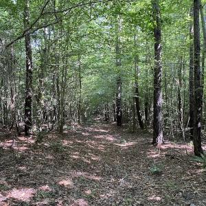 Photo #14 of SOLD property in Off Colonial Trail W, Spring Grove, VA 47.6 acres