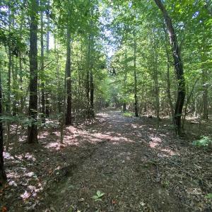 Photo #15 of SOLD property in Off Colonial Trail W, Spring Grove, VA 47.6 acres