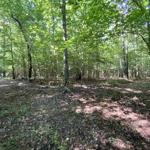 Photo #16 of SOLD property in Off Colonial Trail W, Spring Grove, VA 47.6 acres