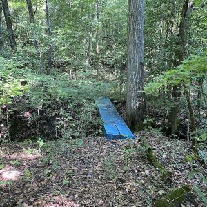 Photo #17 of SOLD property in Off Colonial Trail W, Spring Grove, VA 47.6 acres