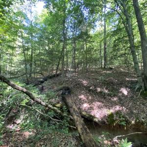 Photo #23 of SOLD property in Off Colonial Trail W, Spring Grove, VA 47.6 acres