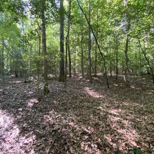 Photo #25 of SOLD property in Off Colonial Trail W, Spring Grove, VA 47.6 acres