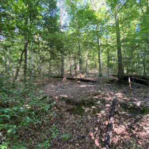 Photo #27 of SOLD property in Off Colonial Trail W, Spring Grove, VA 47.6 acres
