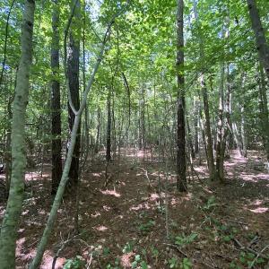 Photo #28 of SOLD property in Off Colonial Trail W, Spring Grove, VA 47.6 acres
