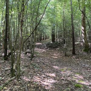 Photo #31 of SOLD property in Off Colonial Trail W, Spring Grove, VA 47.6 acres