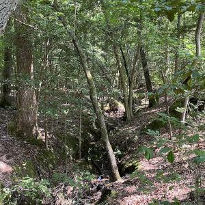 Photo #32 of SOLD property in Off Colonial Trail W, Spring Grove, VA 47.6 acres
