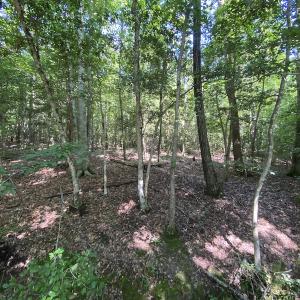 Photo #33 of SOLD property in Off Colonial Trail W, Spring Grove, VA 47.6 acres