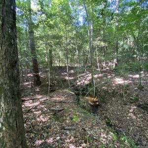 Photo #34 of SOLD property in Off Colonial Trail W, Spring Grove, VA 47.6 acres