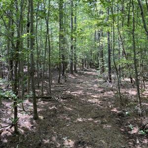 Photo #36 of SOLD property in Off Colonial Trail W, Spring Grove, VA 47.6 acres