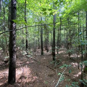 Photo #38 of SOLD property in Off Colonial Trail W, Spring Grove, VA 47.6 acres