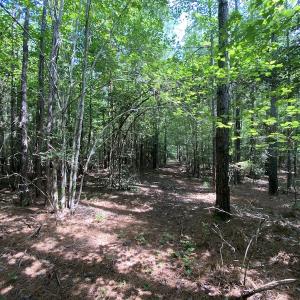 Photo #39 of SOLD property in Off Colonial Trail W, Spring Grove, VA 47.6 acres