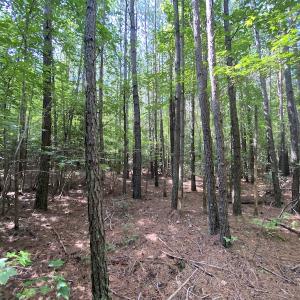 Photo #40 of SOLD property in Off Colonial Trail W, Spring Grove, VA 47.6 acres