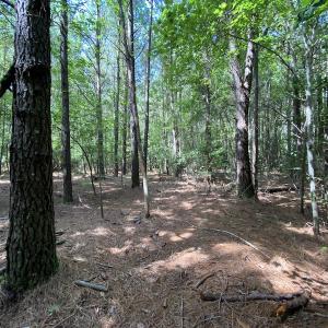Photo #41 of SOLD property in Off Colonial Trail W, Spring Grove, VA 47.6 acres