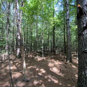 Photo #42 of SOLD property in Off Colonial Trail W, Spring Grove, VA 47.6 acres