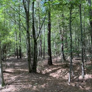 Photo #44 of SOLD property in Off Colonial Trail W, Spring Grove, VA 47.6 acres