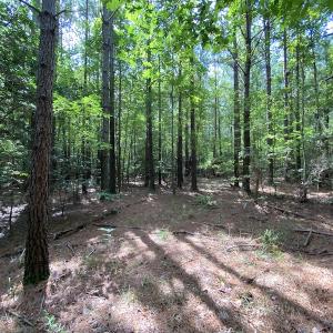 Photo #45 of SOLD property in Off Colonial Trail W, Spring Grove, VA 47.6 acres