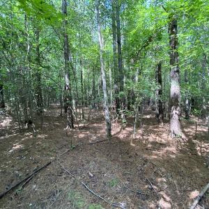 Photo #47 of SOLD property in Off Colonial Trail W, Spring Grove, VA 47.6 acres
