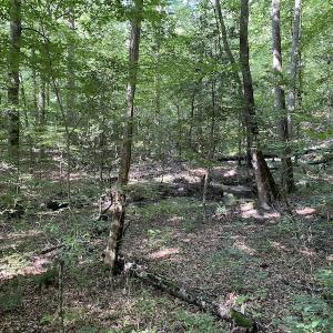 Photo #23 of SOLD property in 10767 Colonial Trail W, Spring Grove, VA 3.7 acres