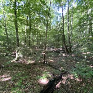 Photo #24 of SOLD property in 10767 Colonial Trail W, Spring Grove, VA 3.7 acres