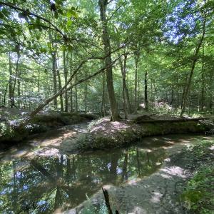Photo #25 of SOLD property in 10767 Colonial Trail W, Spring Grove, VA 3.7 acres