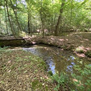 Photo #26 of SOLD property in 10767 Colonial Trail W, Spring Grove, VA 3.7 acres