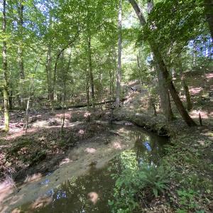 Photo #27 of SOLD property in 10767 Colonial Trail W, Spring Grove, VA 3.7 acres
