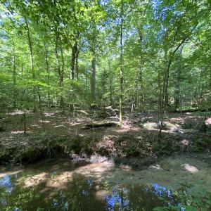 Photo #30 of SOLD property in 10767 Colonial Trail W, Spring Grove, VA 3.7 acres