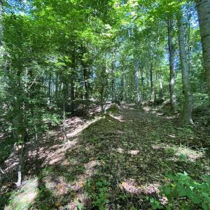 Photo #32 of SOLD property in 10767 Colonial Trail W, Spring Grove, VA 3.7 acres