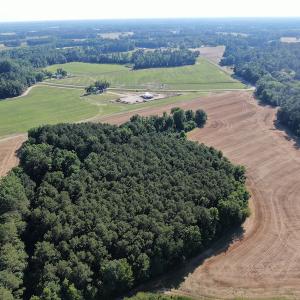 Photo #3 of SOLD property in OFF NC HWY 41, Fairmont, NC 41.0 acres