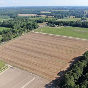 Photo #4 of SOLD property in OFF NC HWY 41, Fairmont, NC 41.0 acres